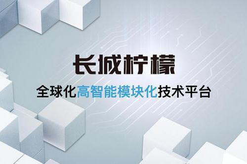 SUV下半场，看来又属于长城