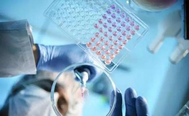 三次申请检测被拒？从美回国求医的黎女士，竟