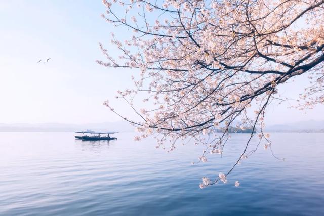 春风得意马蹄疾，一日看尽长安花