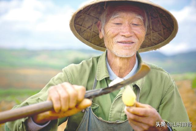 不请明星请农民，拼多多上线“最寒酸”广告，背后原因却暖哭了