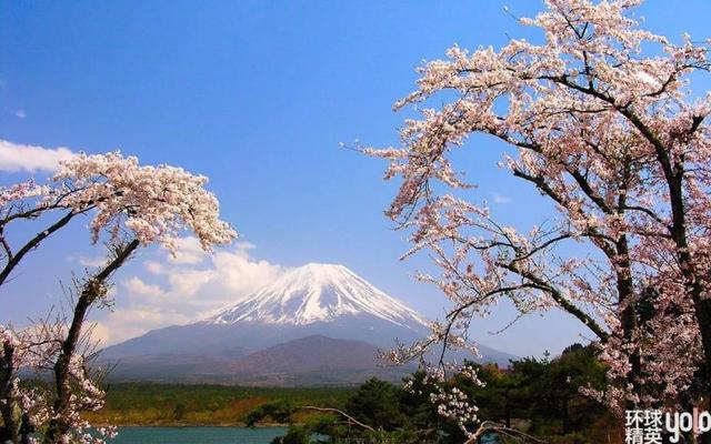 安倍家族：一门三首相