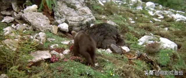 ����9.1�֣���ʵ�¼��ı࣬�ⲿ���ص�Ӱ���ҿ�һ�ο�һ��