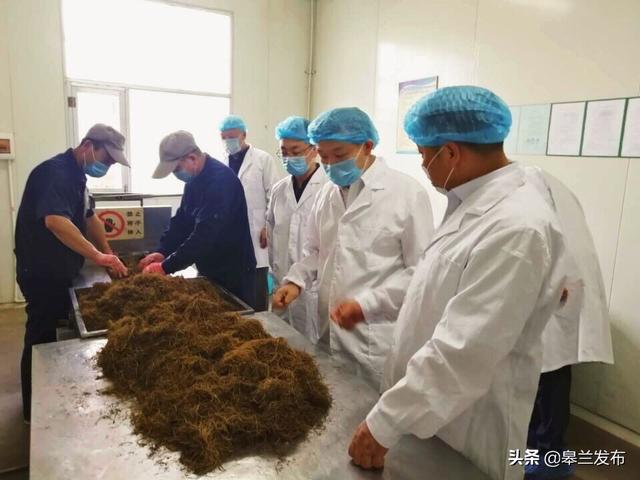 ��ʯ�����г���ܹ���