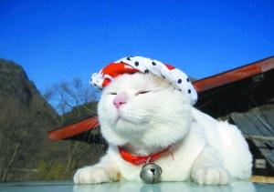 6.16 简短午评：北向进出解析