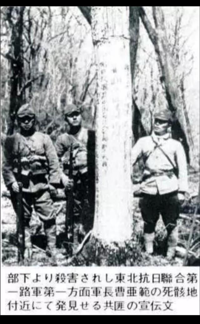 他和杨靖宇是亲密战友，与金日成在抗联是搭档