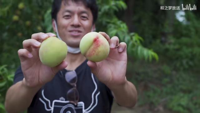 豆瓣8分起，疫情后最好的纪录片，是个日本人拍的