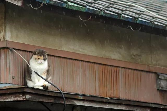此文非常重要，建議大家馬上收藏