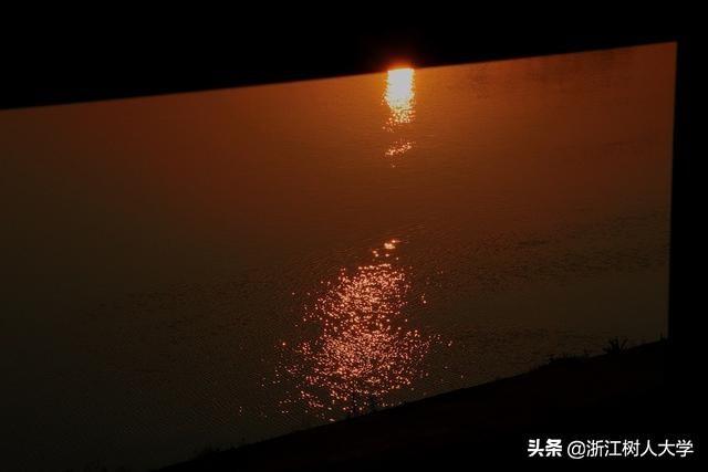 学会这些技巧，你也能拍出令人羡慕的“大片”