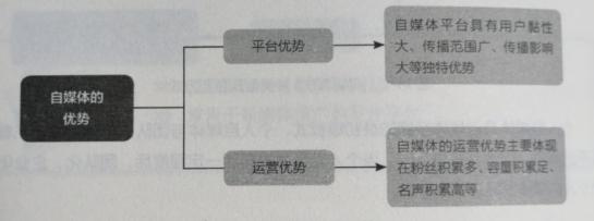 自媒体优势劣势分析