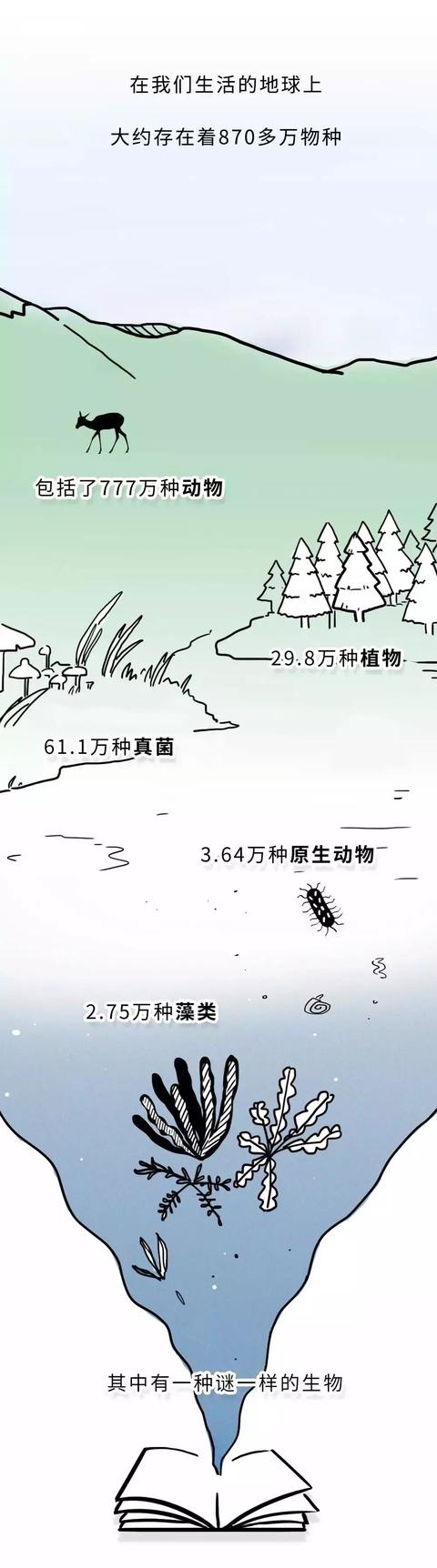 谜一样的生物[38P]-BB姬