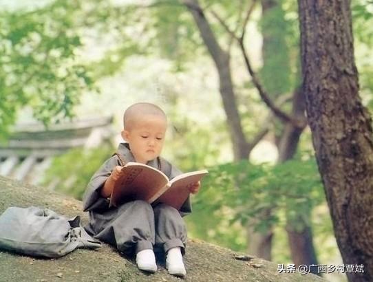 山里@贵州回应山里有龙吟声音的主人到底是谁？