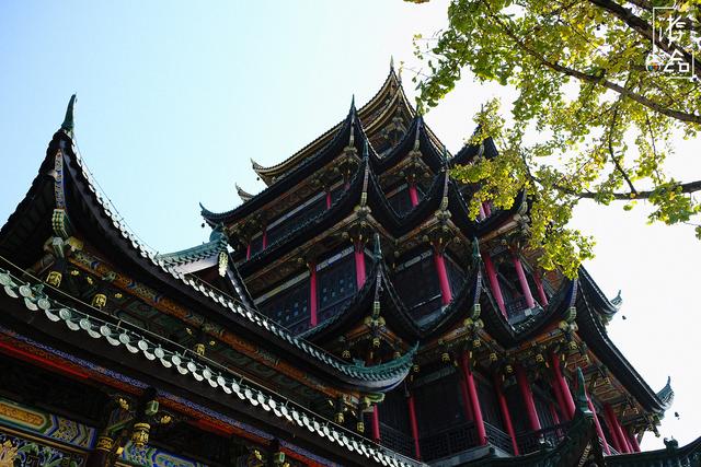 重庆周末出游指南：到公园赏花，打卡网红景点，还能给自己充电