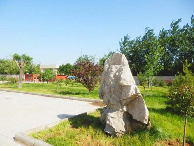 齐光卫校 喜报！李莉婷荣获2020山东省春季高考医药类全省第四名