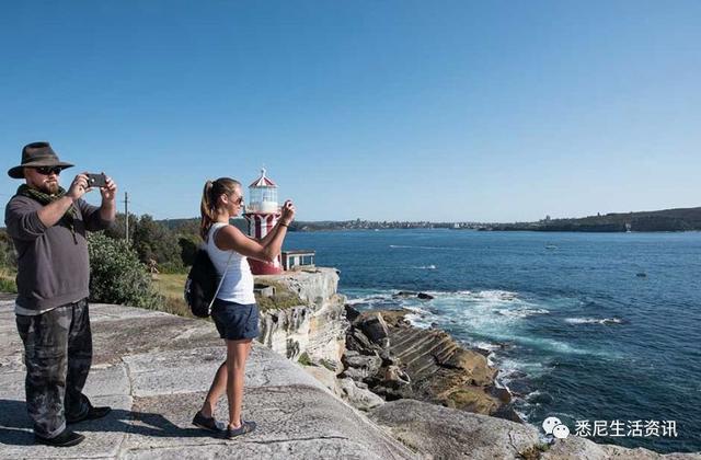 来了！4万多头座头鲸浩浩荡荡逼近悉尼港！气势