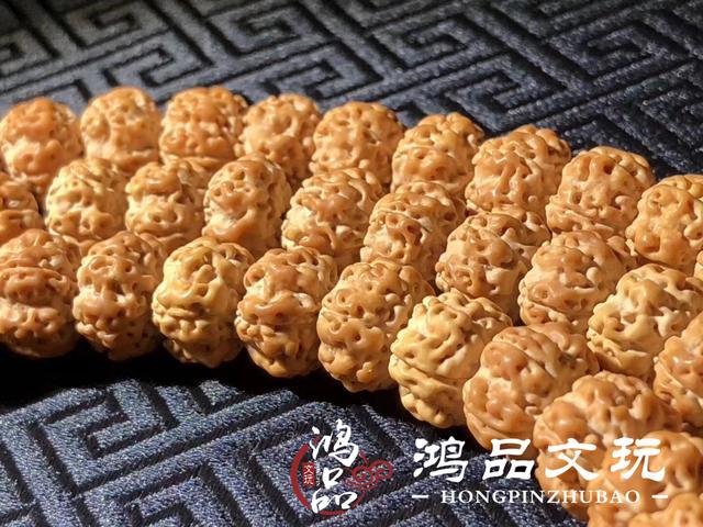 金刚菩提子