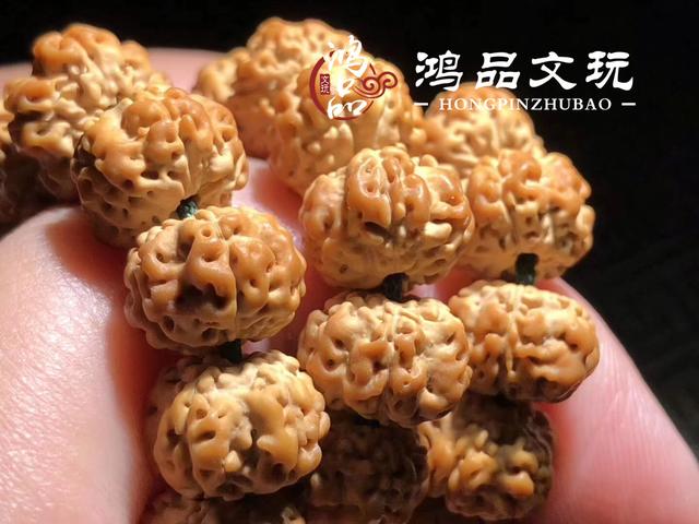 大金刚盘玩