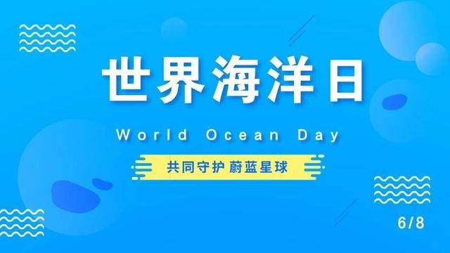 世界海洋日｜这些海洋小知识，你知道多少？