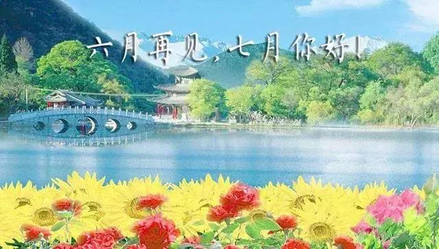 #你好#最美七月你好问候图片 七月早安心语心情短句说说