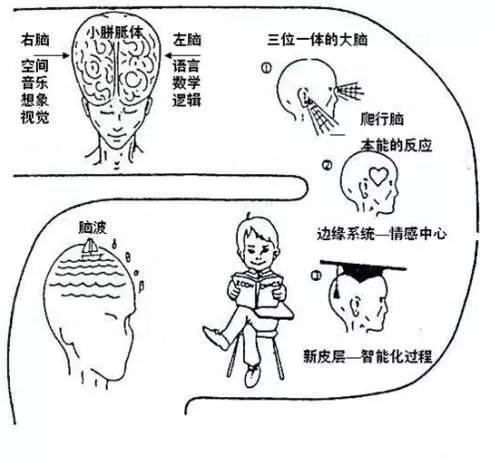 从商业的本质出发：要怎样去挖掘消费者的认知？