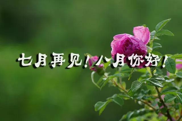 你好|再见7月你好8月的句子，新的八月，愿你事事顺利、幸福安康
