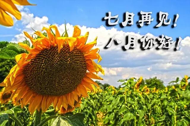 [你好]再见七月你好八月句子 亲爱的八月你好句子