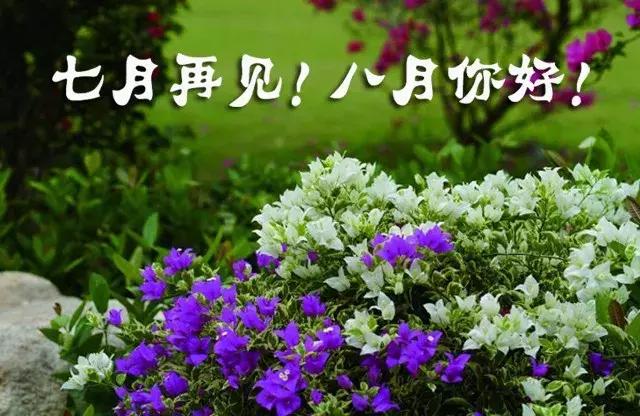 [你好]再见七月你好八月句子 亲爱的八月你好句子