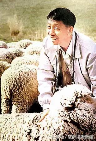 刘守仁院士：“与羊共舞”六十载 还说死后用骨灰喂羊！