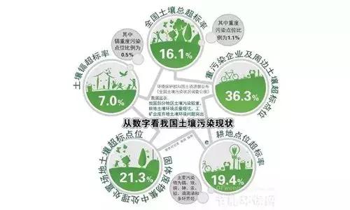 中国大米污染分布图发布，你吃的米安全吗？