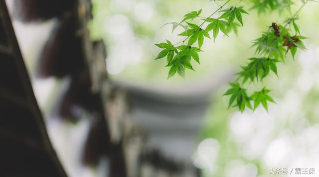 嫌工资太低想干副业，这3种工作不仅不耽误主业，还能越混越好！