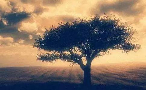 笑傲英语网-I asked nothing 我一无所求