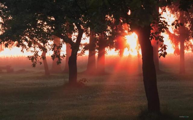 图片[3]-I asked nothing 我一无所求-笑傲英语网