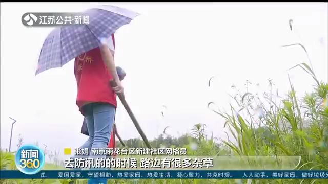 南京老党员志愿者防汛有&ldquo;三大宝&rdquo;：打狗棍、钉耙、小红旗