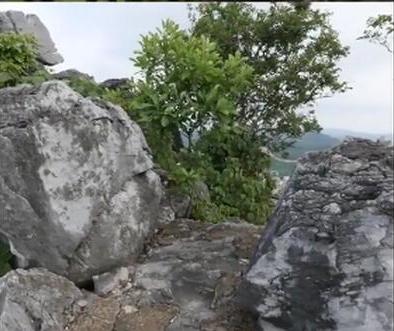 景区警告“张东升”禁止入内