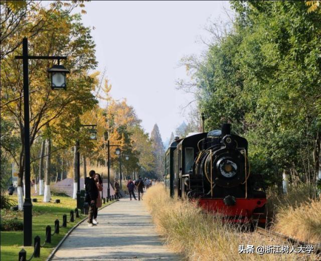 学会这些技巧，你也能拍出令人羡慕的“大片”