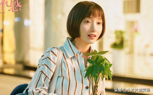 《二十不惑》四位女主大结局，姜小果最圆满，