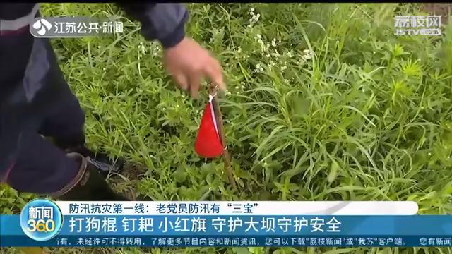 南京老党员志愿者防汛有“三大宝”：打狗棍、钉耙、小红旗
