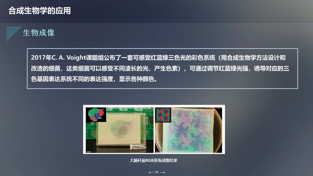 未来生物科技技术：合成生物学概述及应用