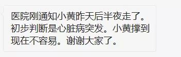 没错，狗也能献血，但被“人”喷闲得慌，说狗不配人的待遇