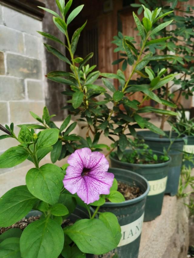 �𷨸��� �� ���ٴ�ʦ�����ֵߵ�