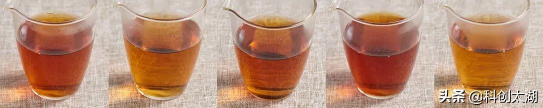 实测5种泡茶用水，哪种让茶最好喝？