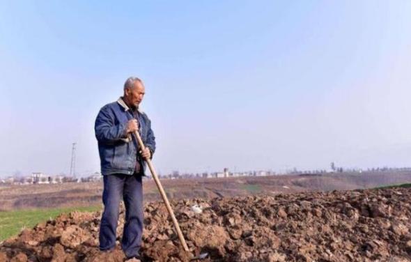 \"地不种，房空着，车放着\"农村这三个现