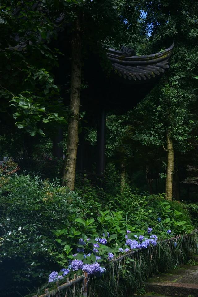 「一波」今日小暑 来一波和小暑有关的唯美图片发朋友圈