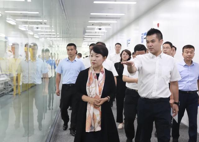 呼和浩特市委书记王莉霞一行考察正泰新能源