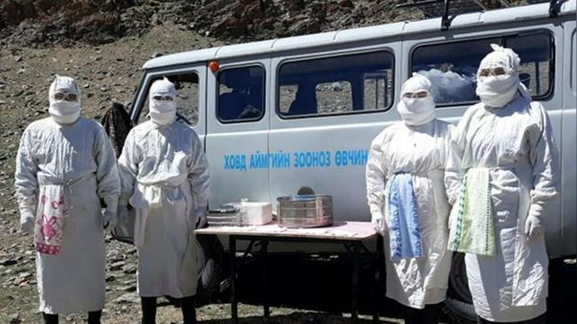 ʱһɹŹٴγ飬һʡʵʩֹ