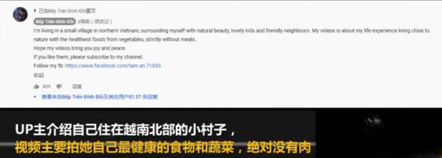 越南博主抄袭李子柒，拍摄手法如出一辙，网友痛斥“不要脸”
