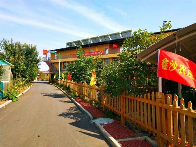 农村养殖家禽怎么找销路？这4个销售途径很管用