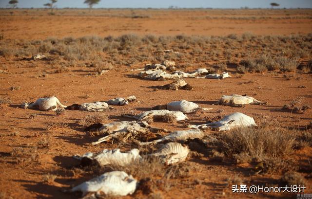 疫情还未结束，美国又爆发800年来最大旱灾，地球真的生病了吗？