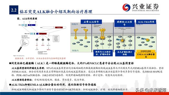 肺癌专题报告：序贯靶向治疗是核心，免疫联合治疗是新常态