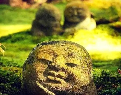 人到五十，还没这四样东西，说明你已经死了，只不过还没入土
