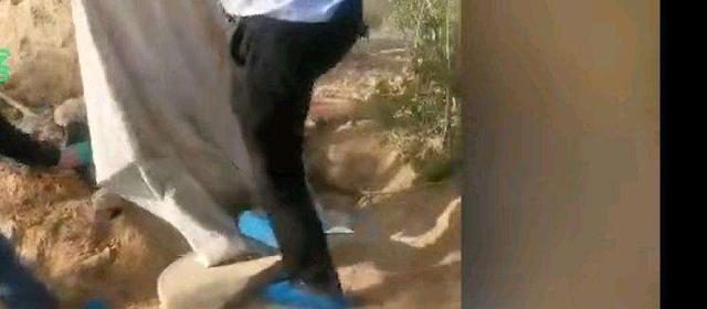 “活埋母亲”79岁老人发声, 两个儿子都很担心